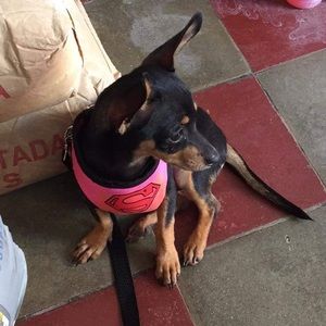 Meet your Posher, Patricia